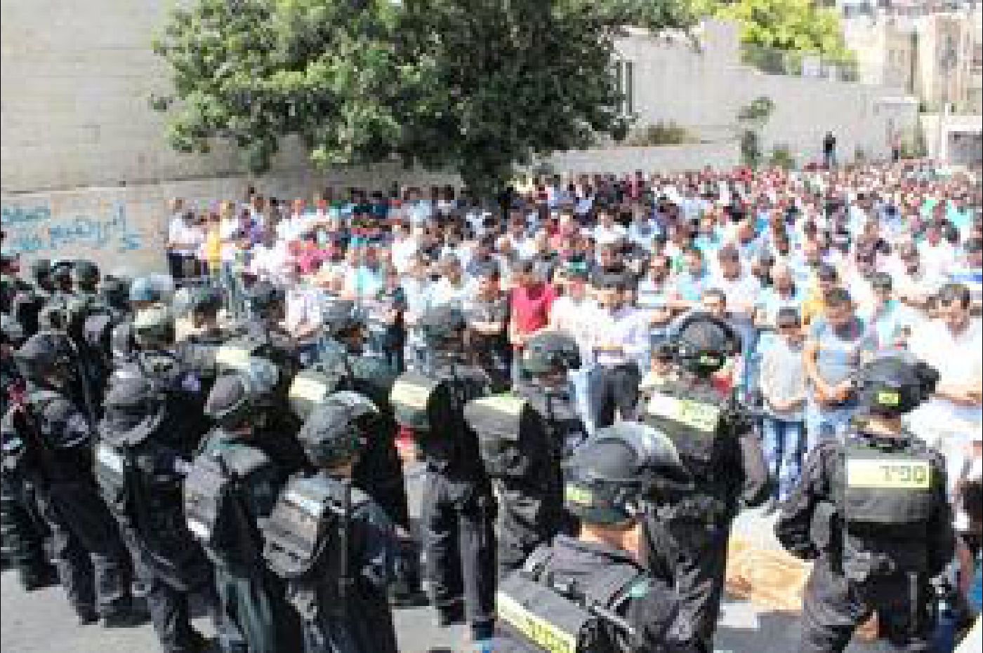 Friday prayer in a street of Wadi Al Joz (East Jerusalem) due to the age restrictions on access to the Al Aqsa Mosque, 26 September 2014. Photo by Maisa Abu Ghazaleh