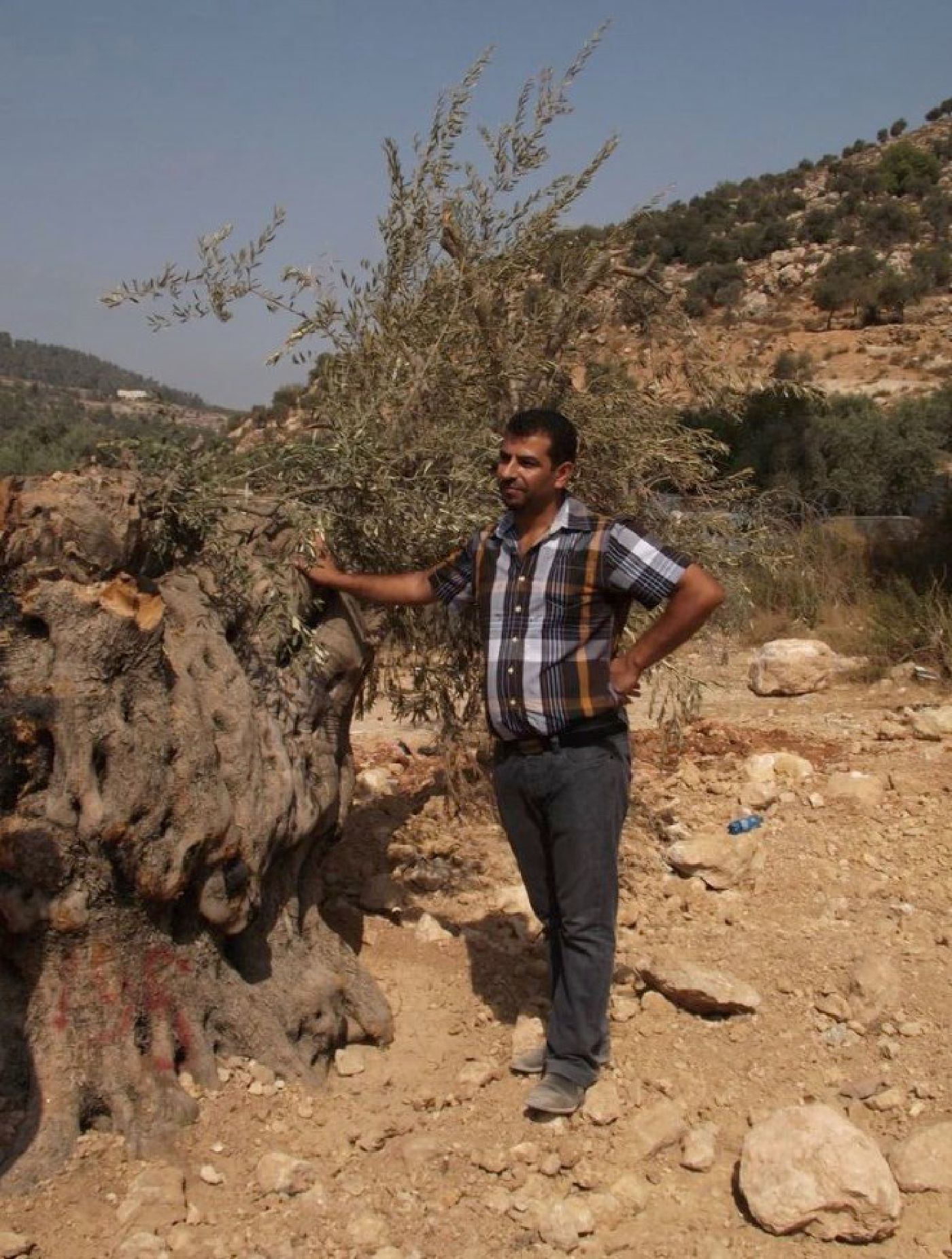 Issa Ash Shatleh, Beit Jalah