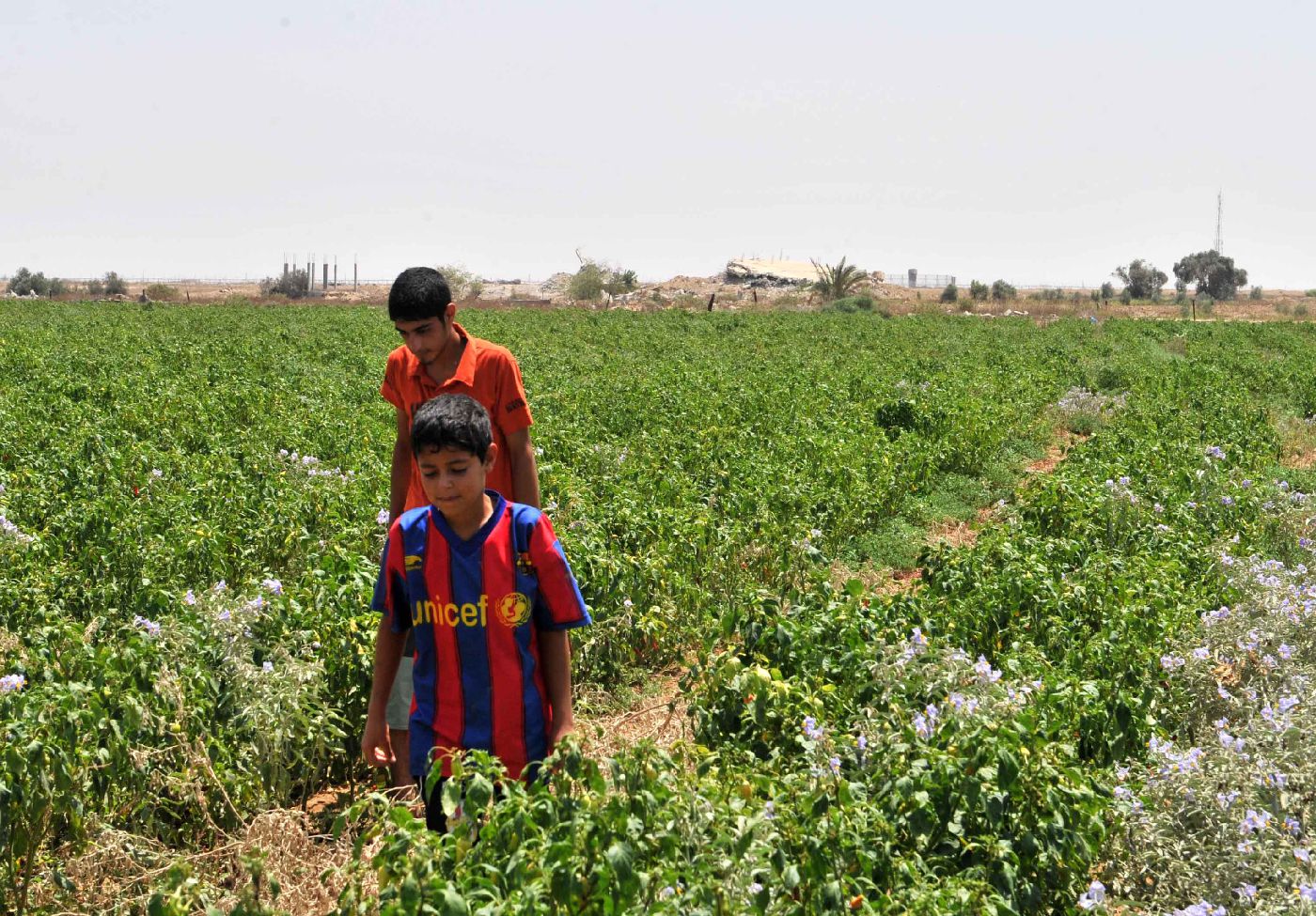 Palestinian children in agricultural field in the high risk area along the Gaza-Israel border fence, July 2010. Photo by Sherif Sarhan, WFP
