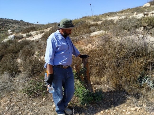 Sa’id with one of his vandalized trees from February 2020