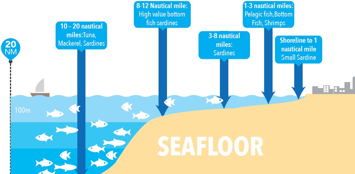 Infographic: Type of fish catch by sea depth and distance from the coast