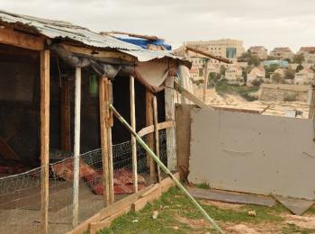Khaled and Hajar's home in Abu Nuwwar