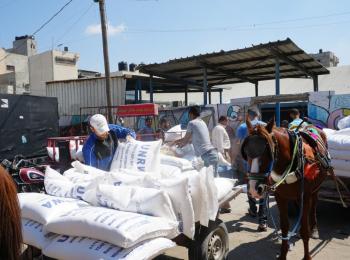 UNRWA food assistance distribution, Gaza. © Photo by OCHA