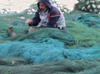 Gaza fisherman working on his nets Gaza fishing wharf. Gaza city, April 2013. Photo by OCHA