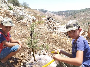 Tarek and Malek Sabbah watering an olive sapling using water from a newly constructed cistern in their family’s orchard, Qaffin, Northern West Bank. Picture by Première Urgence Internationale, 2021
