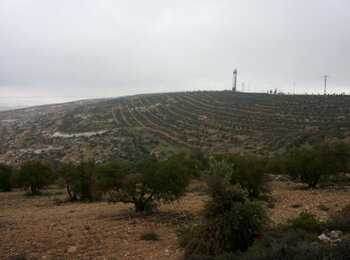 Asfar’s settlement cultivated area, March 2014 