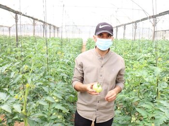 Mohammed in his tomatoes field. Photo by OCHA, July 2021.