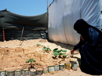 Amina, a displaced mother of three, watering her plants outside a tent where they take shelter. Photo by Save the Children.
