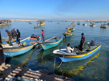 During this reporting period and until 26 December, the Israeli authorities did not allow Palestinian fishermen to transport fresh fish to the West Bank. Photo by OCHA