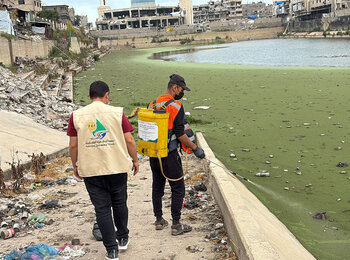 Spraying conducted by municipalities under Palestinian Environmental Friends (PEF) follow up near stagnant wastewater in Gaza as part of an oPt HF-supported WASH project to reduce mosquito breeding and improve living conditions for displaced families. Photo credit: PEF