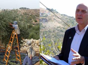 James W. Rawley | Olive picking