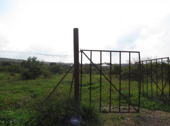 Abandoned lands behind the Barrier in Qalqiliya due to the lack of permits. February 2019