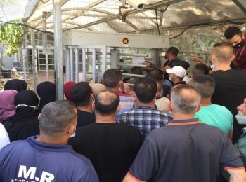 Farmers waiting at the entrance of Qalqiliya DCL to apply for ‘Seam Zone’ permits, 16 Sep 2020.