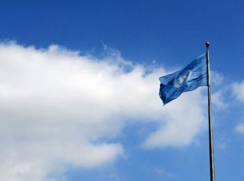 UN Flag