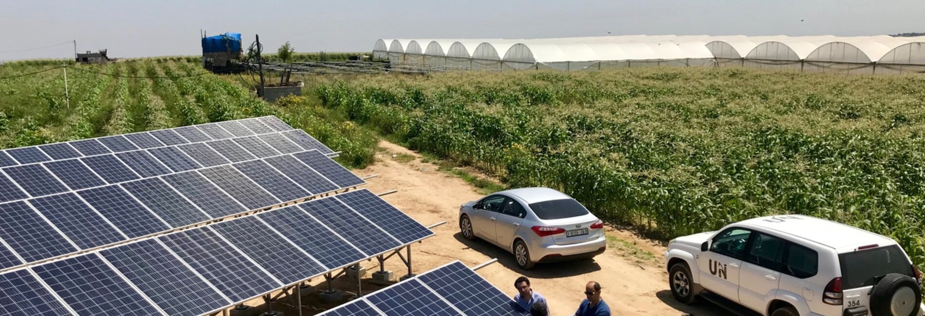 Staff of the oPt Humanitarian Fund visit a field whose owner has benefitted from humanitarian assistance, July 2018. Photo by OCHA