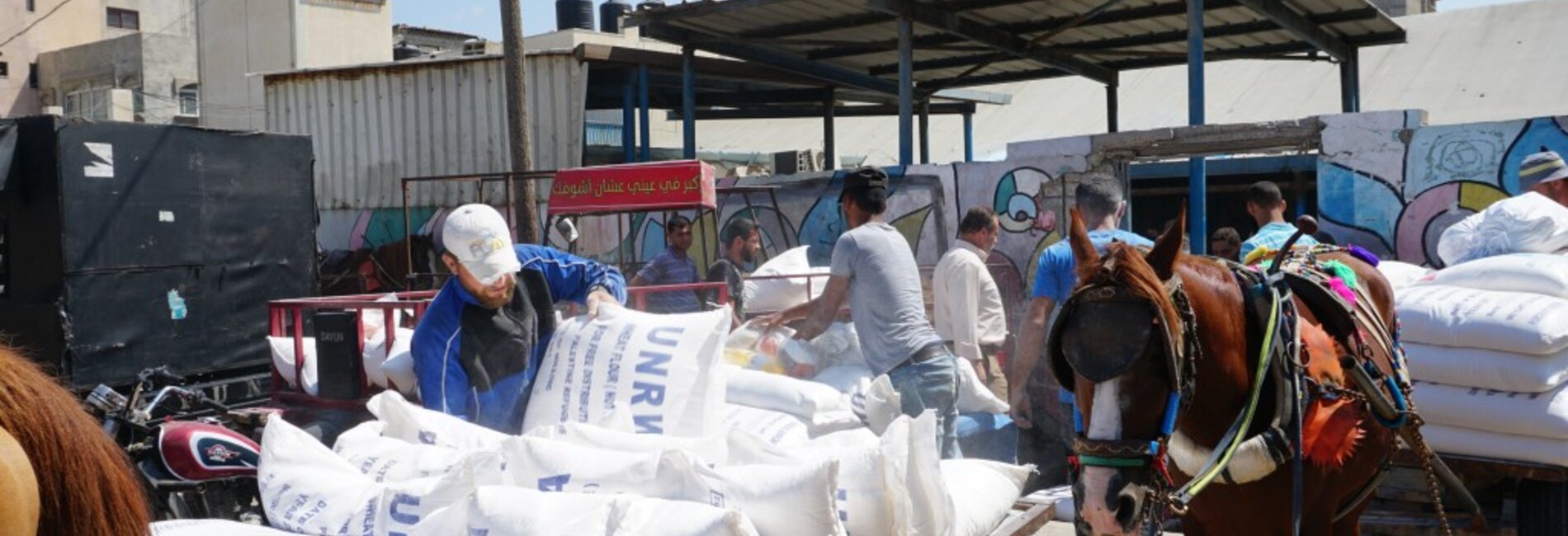 UNRWA food assistance distribution, Gaza. © Photo by OCHA