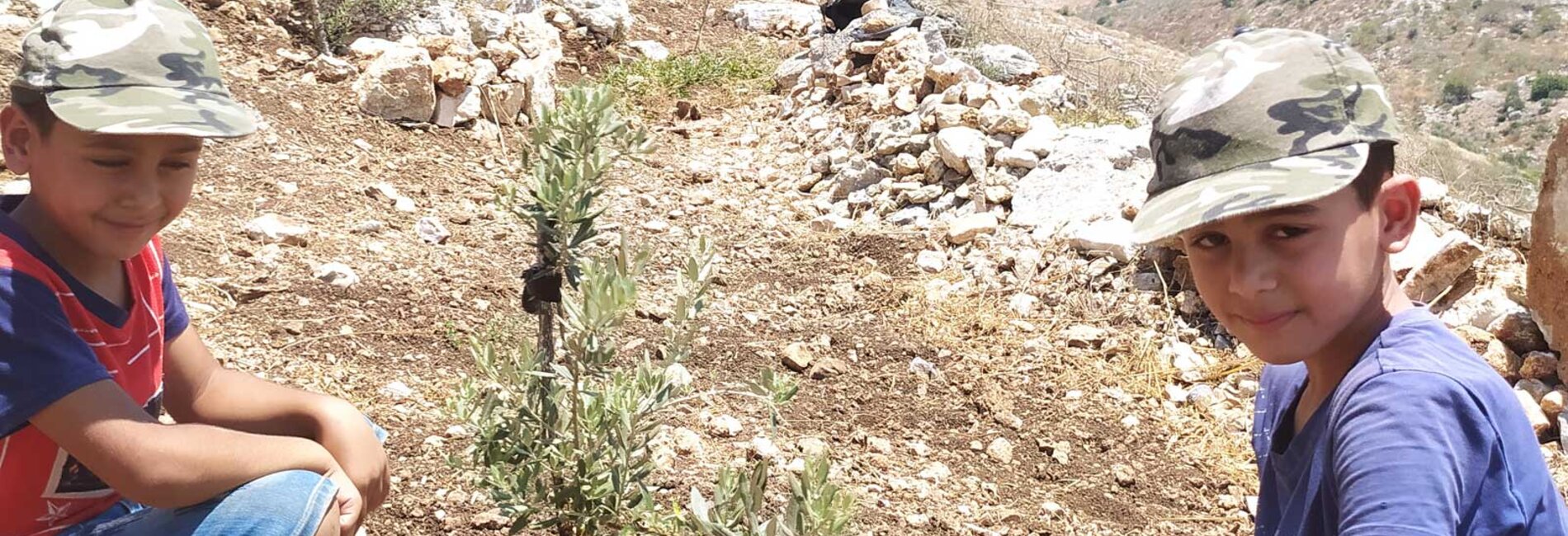 Tarek and Malek Sabbah watering an olive sapling using water from a newly constructed cistern in their family’s orchard, Qaffin, Northern West Bank. Picture by Première Urgence Internationale, 2021