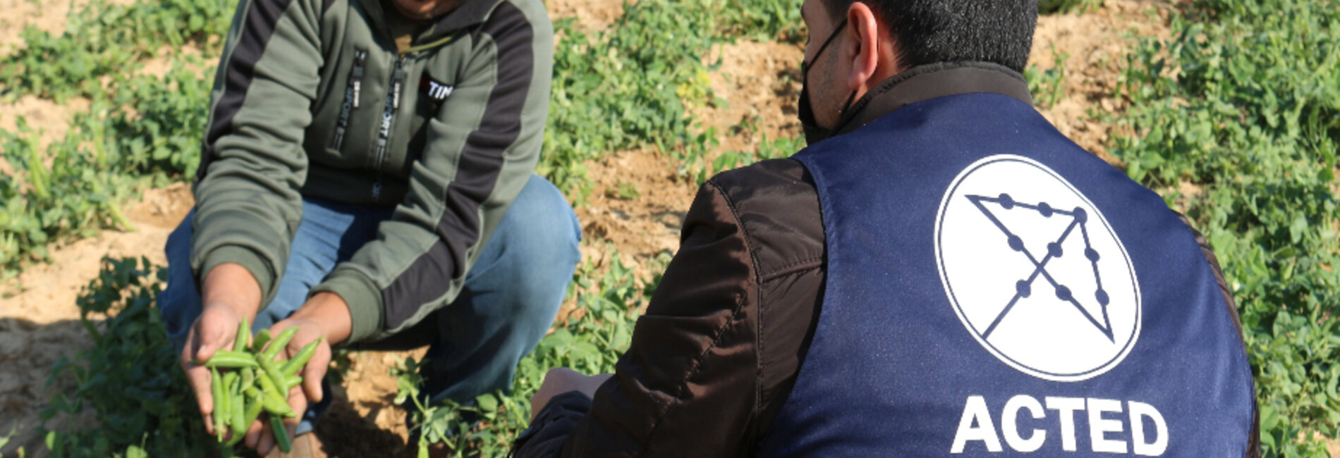 Omar on his field with a staff member from ACTED.