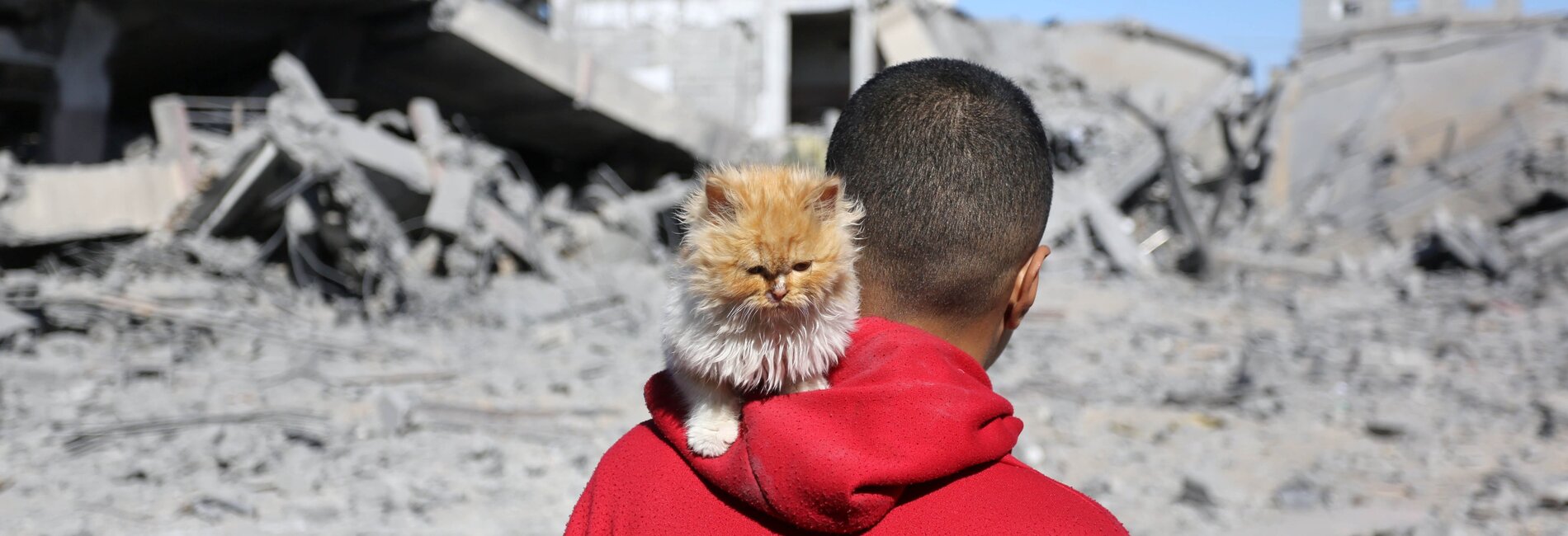 Intense hostilities continue in Gaza, resulting in casualties, displacement and devastation. Photo by UNRWA