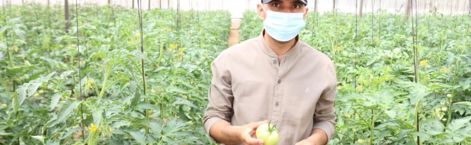 Mohammed in his tomatoes field. Photo by OCHA, July 2021.