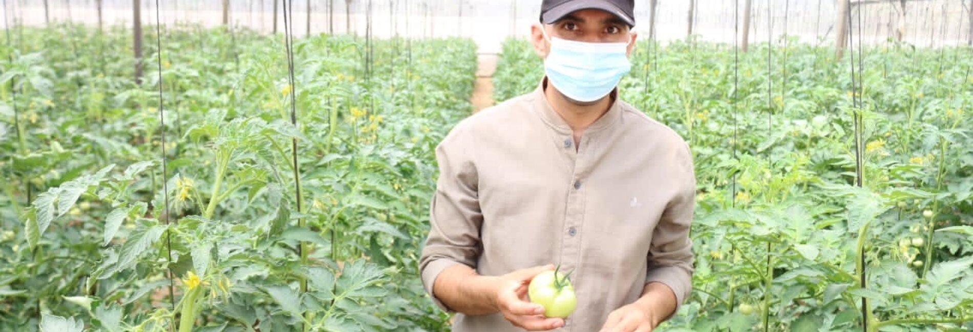 Mohammed in his tomatoes field. Photo by OCHA, July 2021.