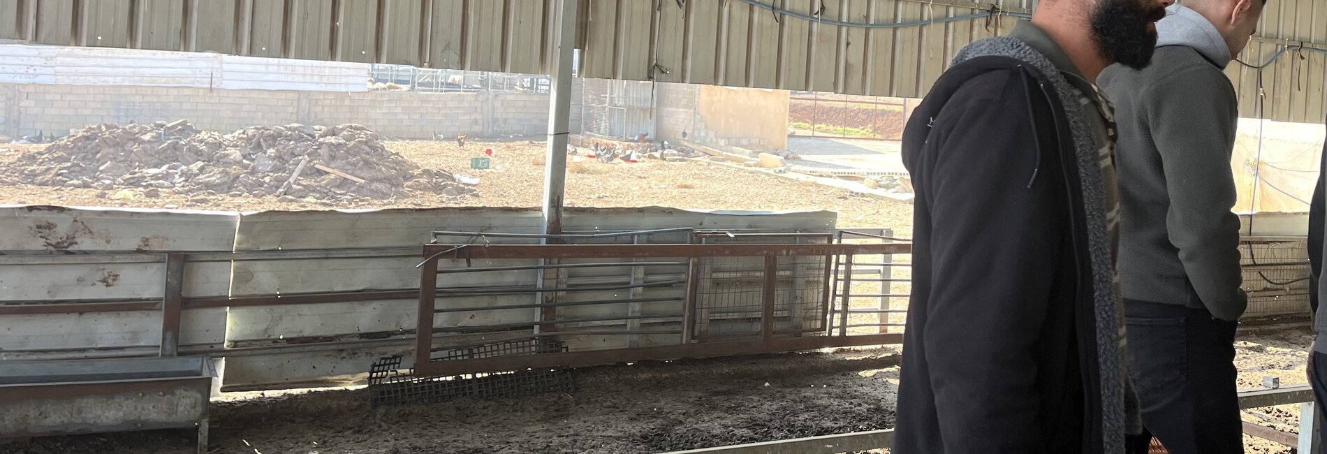 One of 12 Palestinians injured by Israeli settlers in Deir Dibwan, Ramallah governorate, on 26 December 2025. The man was beaten while guarding livestock overnight, with his hands and feet tied, as settlers stole nearly 150 sheep. Photo by OCHA