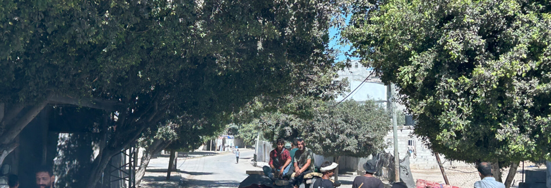 More Palestinian families fleeing west towards Deir al Balah following another Israeli evacuation order on 16 August. Photo: OCHA