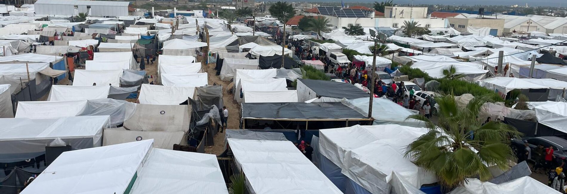 A tent camp where displaced Palestinian families take refuge in southern Gaza. On 15 November, the Israeli authorities extended their evacuation calls, thus far limited to the northern Gaza Strip, to parts of the south. Photo by WHO, 15 November 2023