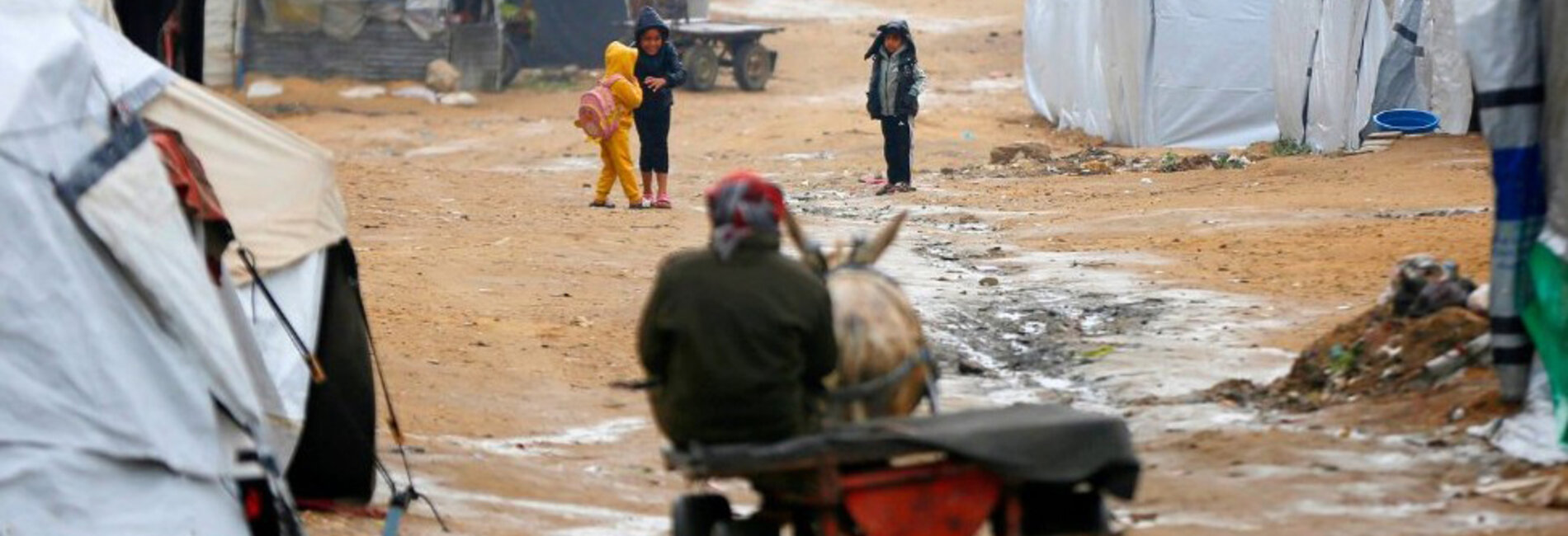 Rain in the Gaza Strip in March 2026. Photo by UNRWA