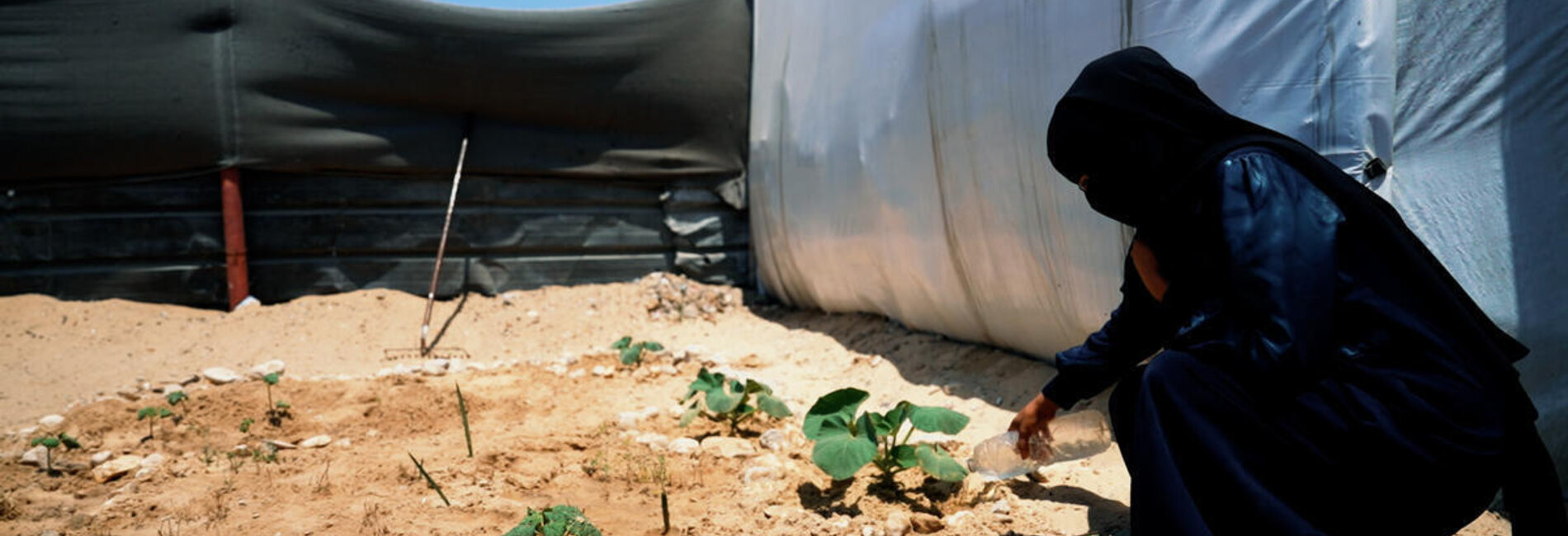 Amina, a displaced mother of three, watering her plants outside a tent where they take shelter. Photo by Save the Children.