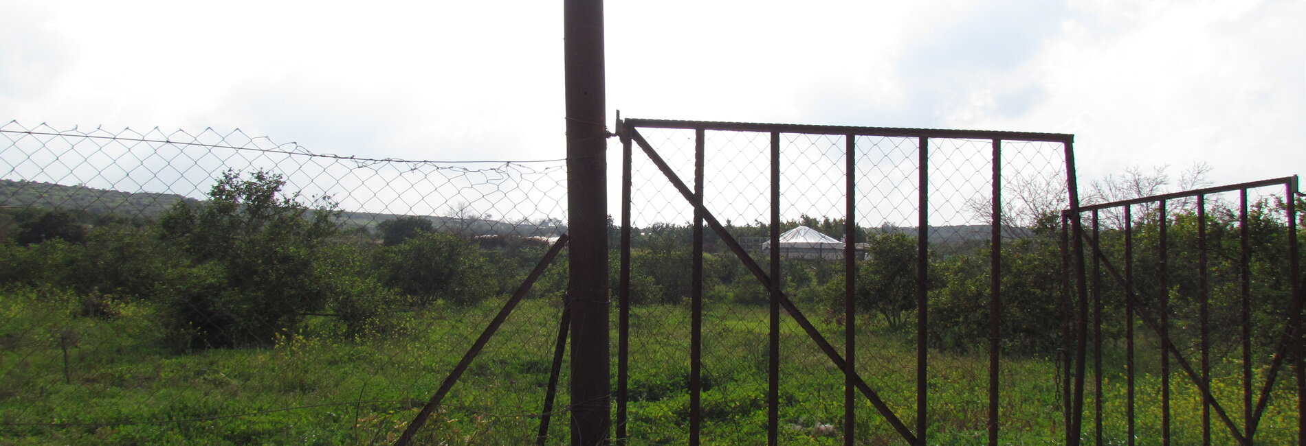 Abandoned lands behind the Barrier in Qalqiliya due to the lack of permits. February 2019