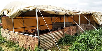 Livelihood tents provided under the inter-agency response mechanism. © Photo by WBPC