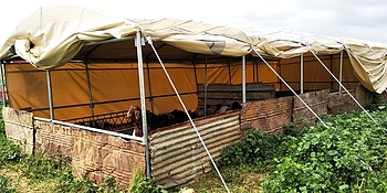 Livelihood tents provided under the inter-agency response mechanism. © Photo by WBPC Livelihood tents provided under the inter-agency response mechanism. © Photo by WBPC