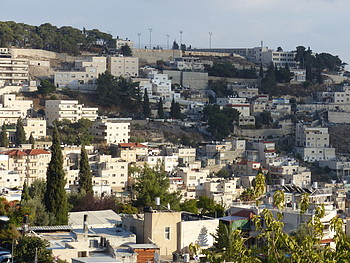 סילואן. תצלום ארכיון. סילואן. תצלום ארכיון.