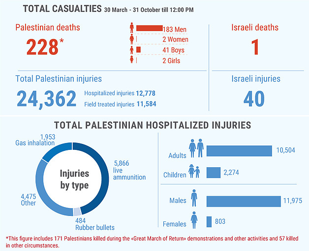 *This figure includes 171 Palestinians killed during the «Great March of Return» demonstrations and other activities and 57 killed in other circumstances. 