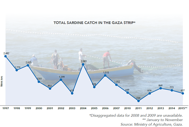 Chart: Total sardine catch in the Gaza Strip