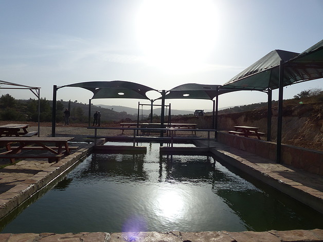 &#039;Ein al Kabireh waterspring and ponds taken over by Elon Moreh settlement and turned into tourist attraction, November 2016. © Photo by OCHA