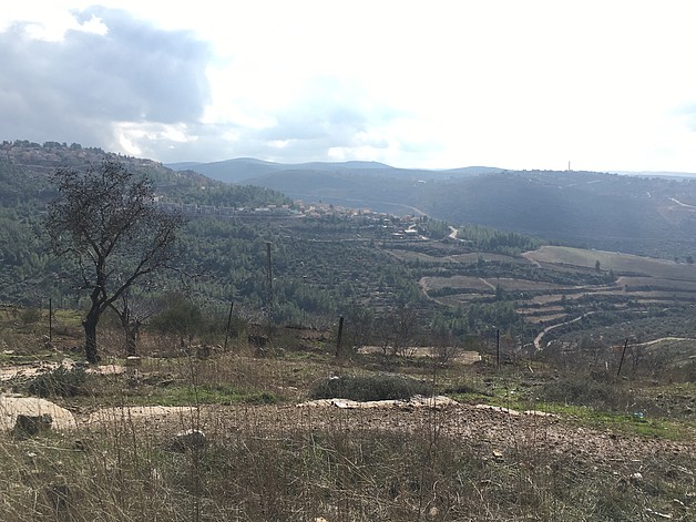 Dolev settlement and cultivated area around it, December 2016. © Photo by OCHA 