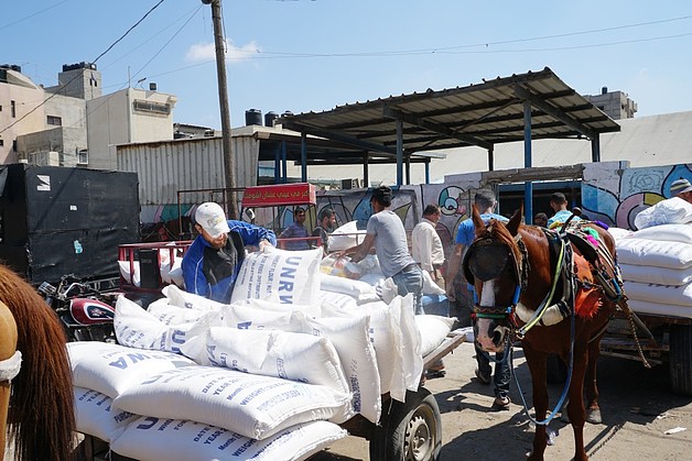 חלוקה של סיוע במזון מטעם אונר״א / © צילום: משרד האו״ם לתיאום עניינים הומניטריים