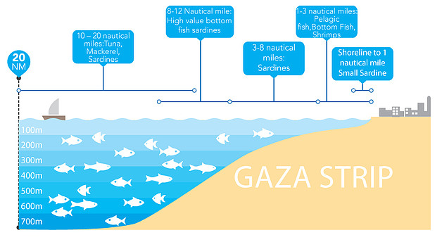 Source: FAO of the United Nations. 