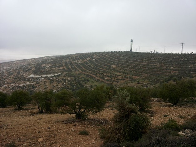 Asfar’s settlement cultivated area, March 2014 