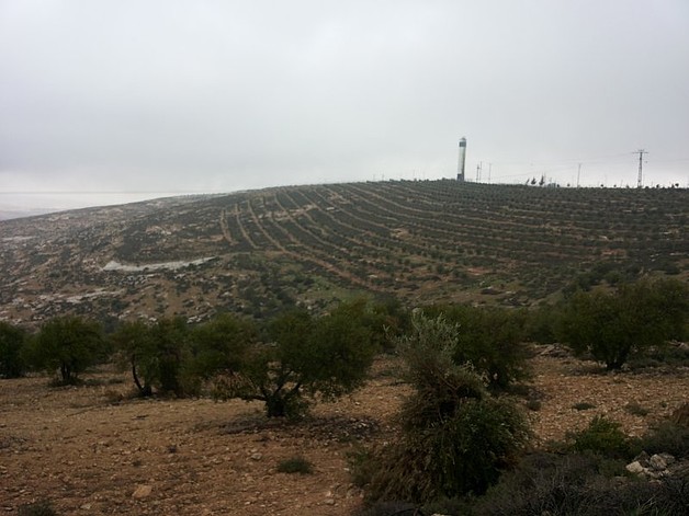 שטח חקלאי בהתנחלות אספר, מרס 2014