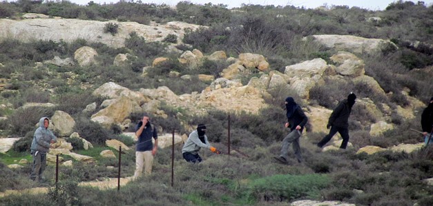 Israeli settler attack in Turmusayya village (Ramallah), January 2015. © Photo by OCHA