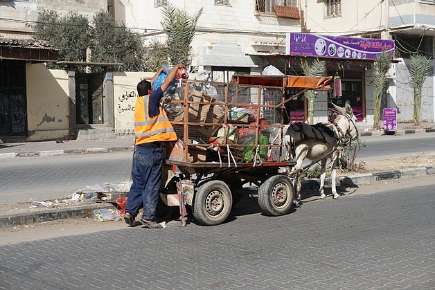 Municipal worker using donkey cart for rubbish collection in Gaza, October 2016.