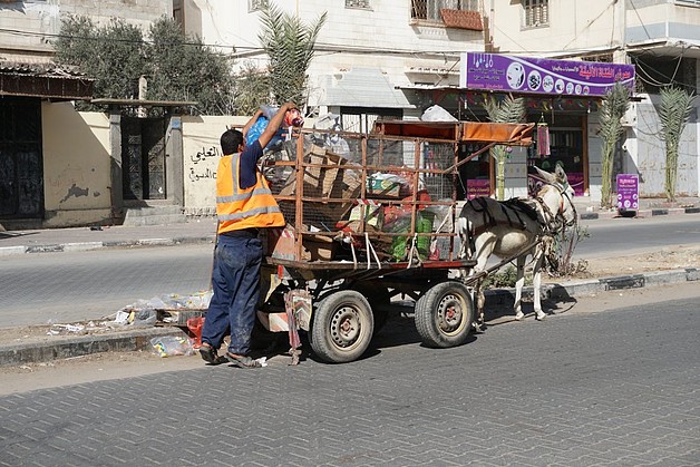 עובד עירייה משתמש בעגלה רתומה לחמור כדי לאסוף אשפה בעזה, אוקטובר 2016