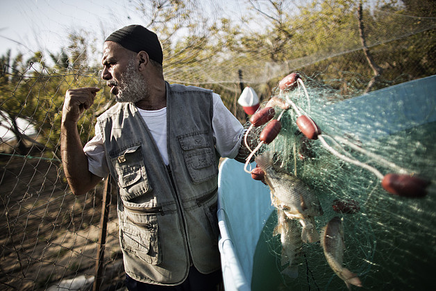 A Gazan fisherman removes the catch from his fishing net. © FAO/Marco Longari