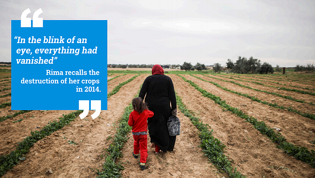 Woman in her peas field on her land in Shokat as Sufi, Gaza Strip. Photo by Wissam Sameer Mahmoud Nassar for ACTED oPt, September 2017.