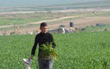 Shuja’iyeh, Gaza. February 2016. © Photo by OCHA Shuja’iyeh, Gaza. February 2016. © Photo by OCHA
