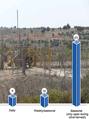 תרשים: שערי גדר לפי סוג