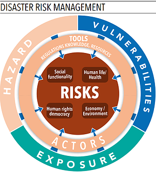 Chart: disaster risk management